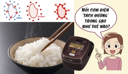 Nồi cơm điện "tách đường" trong gạo như thế nào?
