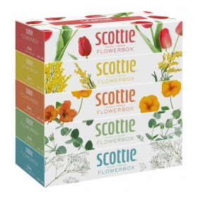 Lốc 5 hộp khăn giấy Scottie 5 màu cao cấp x 160 tờ (mẫu mới)