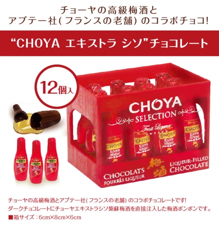 Socola rượu mơ The Choya Selection hộp 12 chai